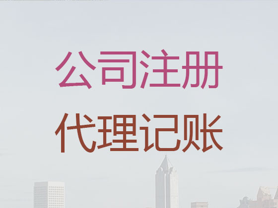 嘉兴代理记账服务-财务代理公司电话